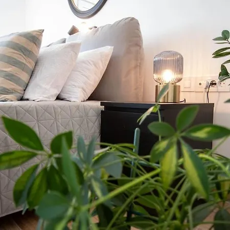 Cozy By Ivanka Design *