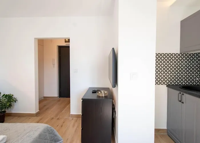 Cozy By Ivanka Design 노비사드